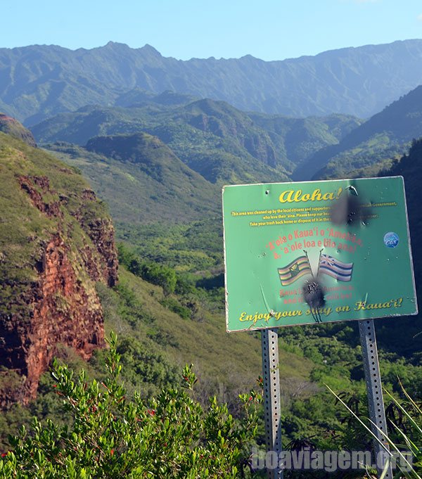 Canyons completamente verdes na Ilha Jardim