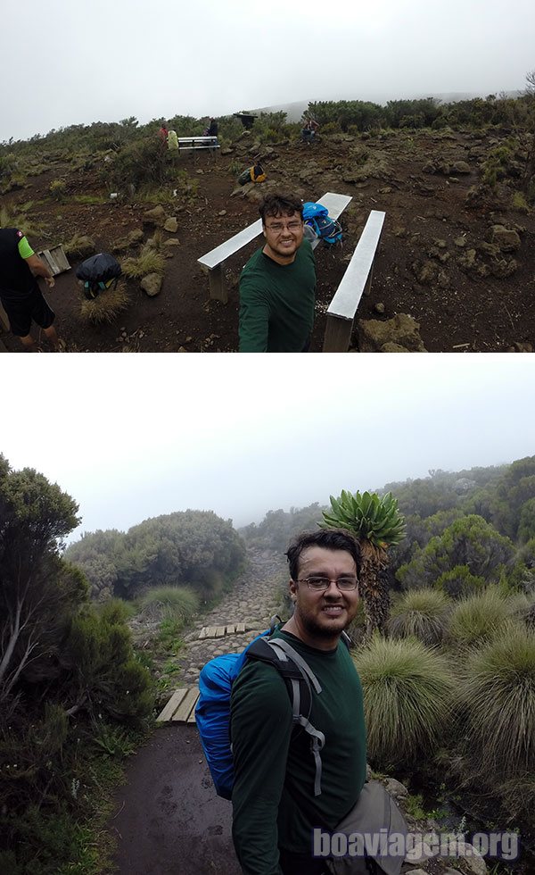 No meio do segundo dia de caminhadas rumo ao topo do Kilimanjaro