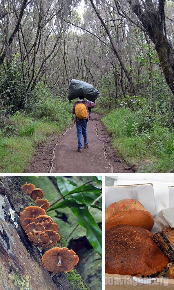 Caminhando rumo ao primeiro abrigo: Mandara