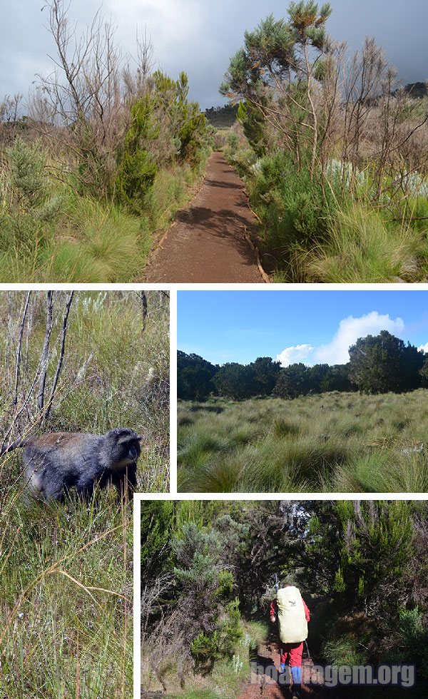 Iniciando o segundo dia de caminhadas rumo ao topo da África