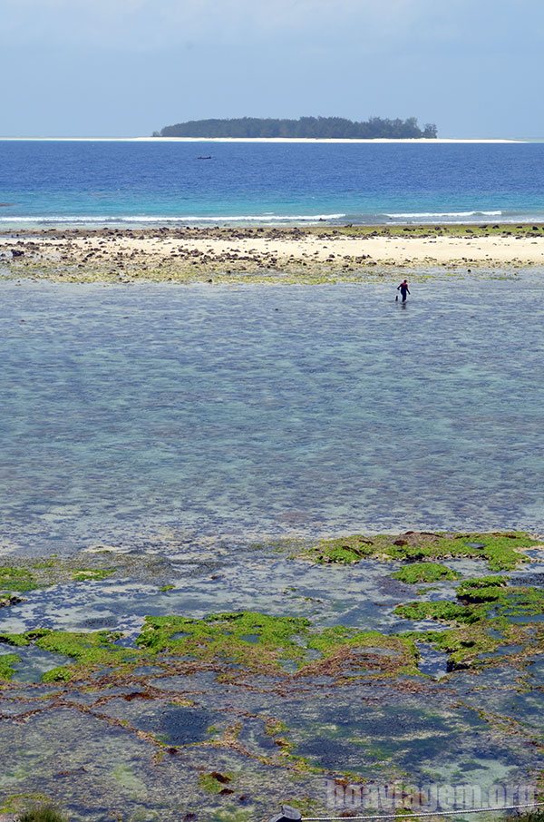 Vista paradisíaca da Ilha Mnemba