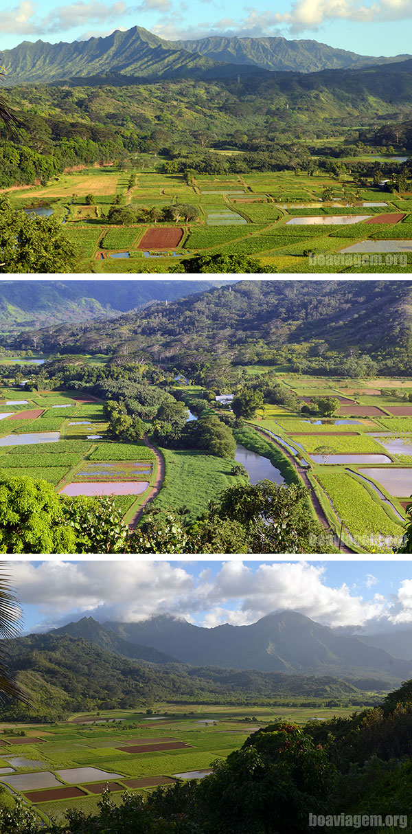 Paisagens espetaculares na minha viagem para a costa norte