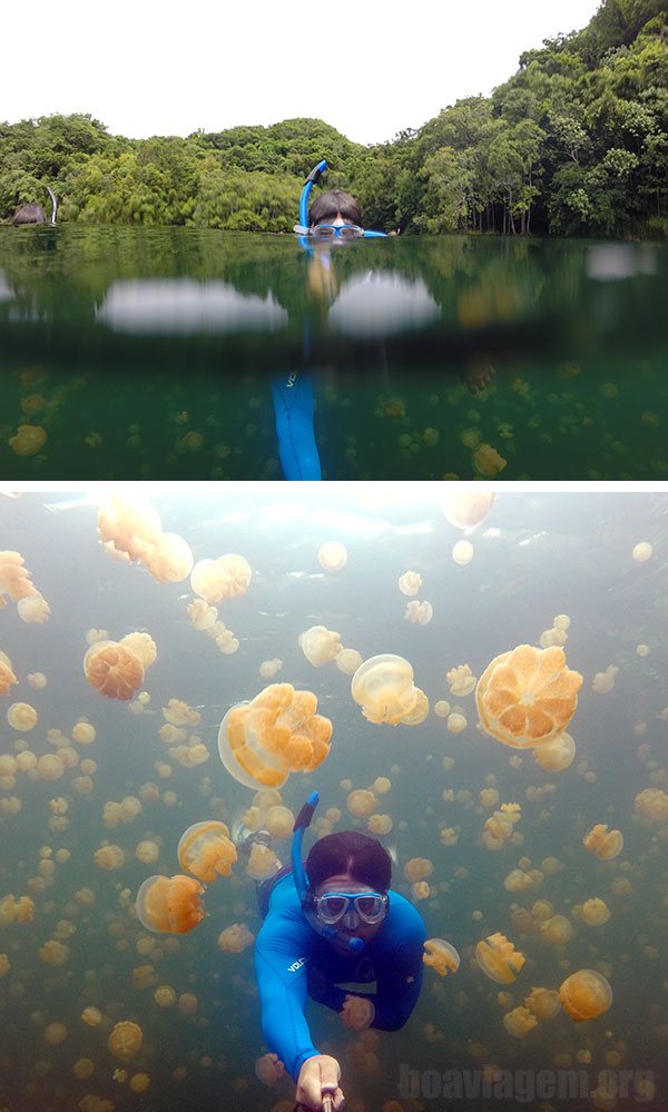 Snorkel no Palau