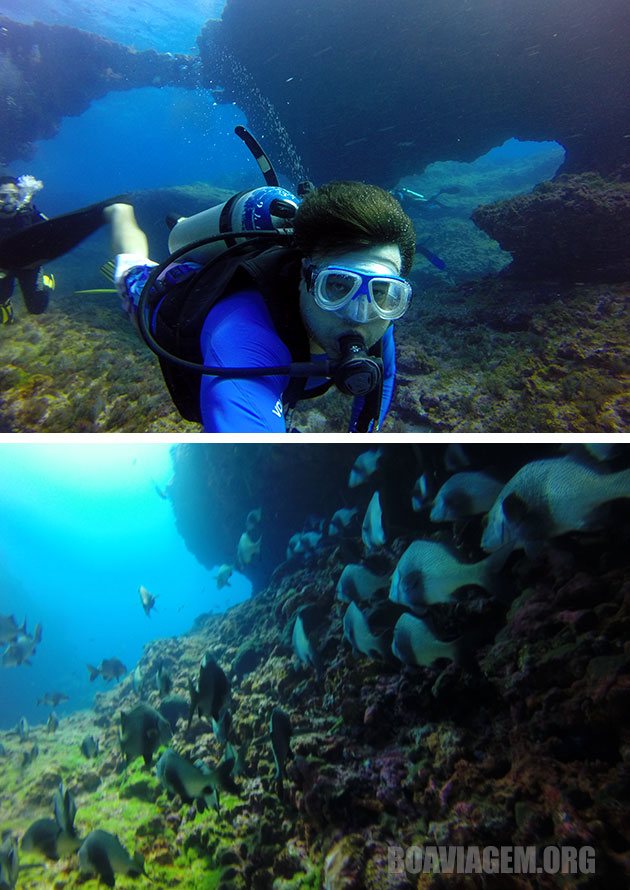 Cardumes incríveis nas Pedras Secas em Noronha