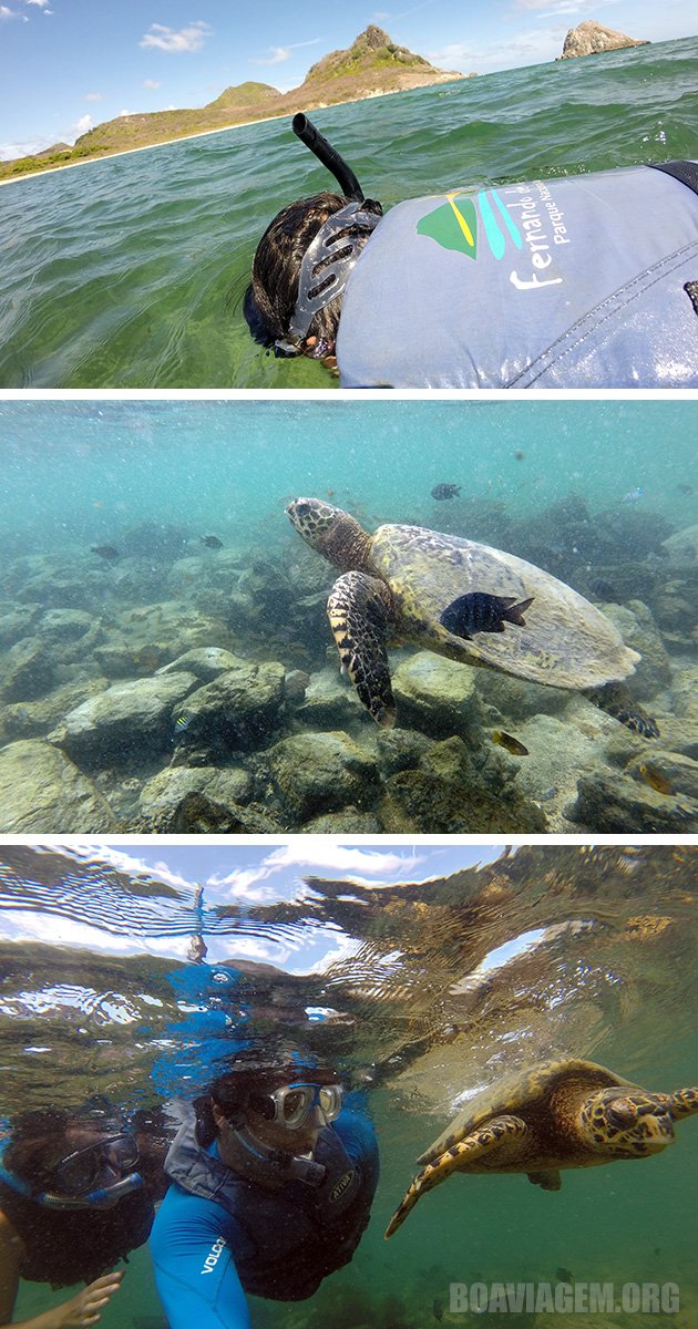 Mergulho no Sueste em Noronha