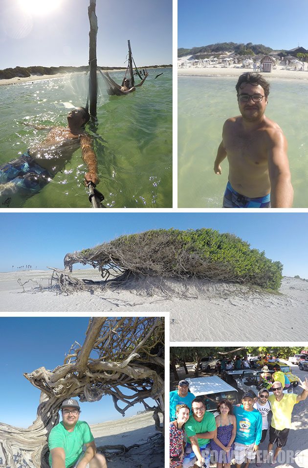 Lagoa do paraíso e árvore da preguiça