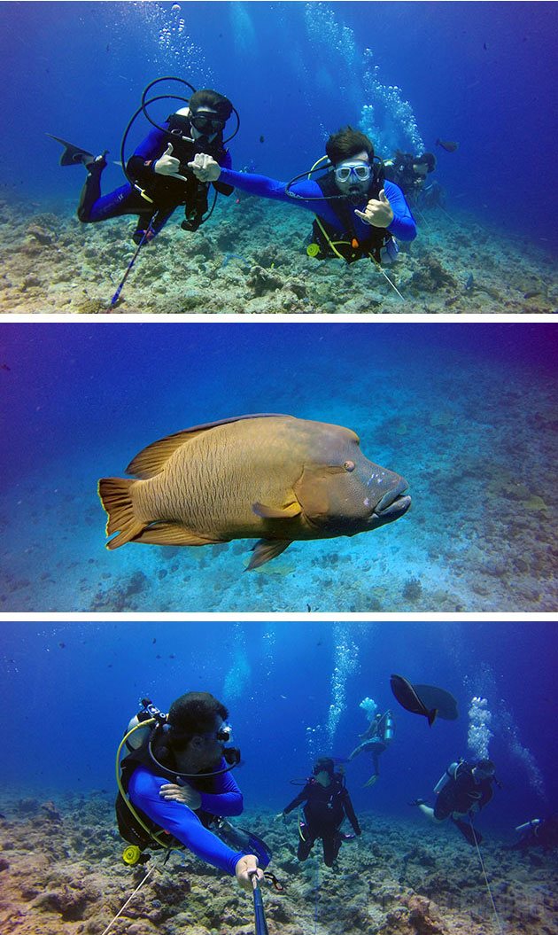 Mergulho ancorado com correnteza no Palau