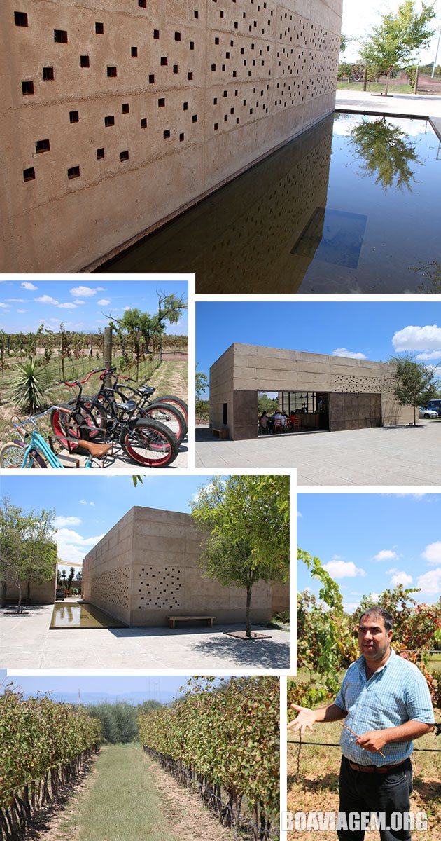Vinícola Cuna de Tierra - Dolores Hidalgo - México