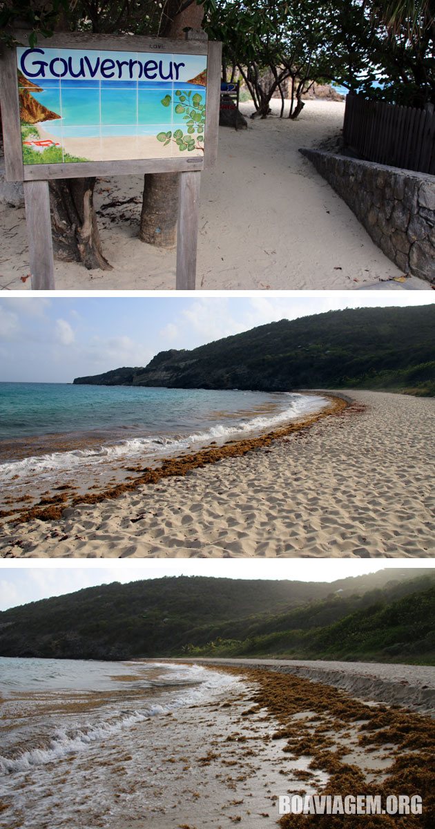 Gouverneur, uma das praias mais incríveis de St. Barth, tomada por algas