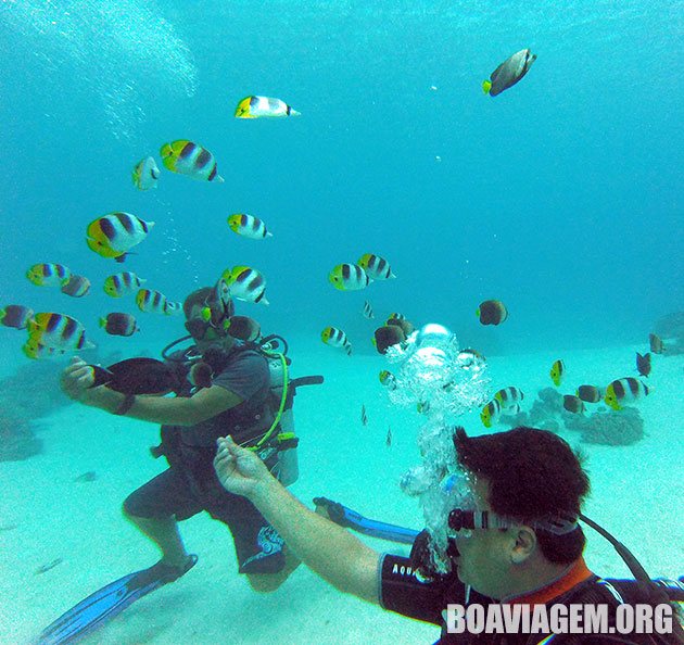 Mergulho em Bora Bora