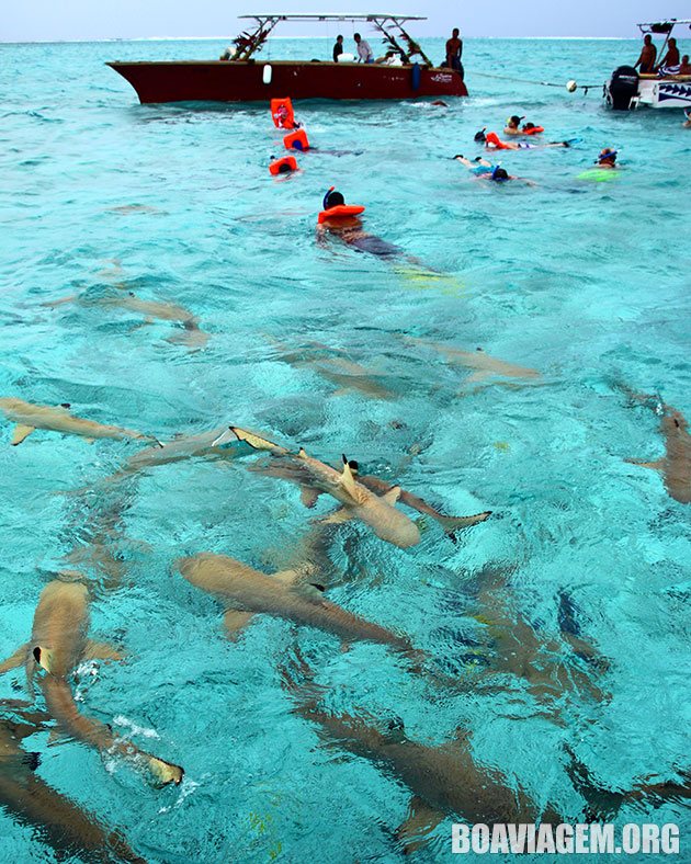 Snorkel em Bora Bora