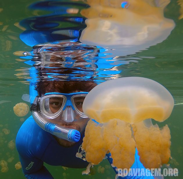 Mergulho com snorkel no JellyFish Lake - Palau - Micronésia