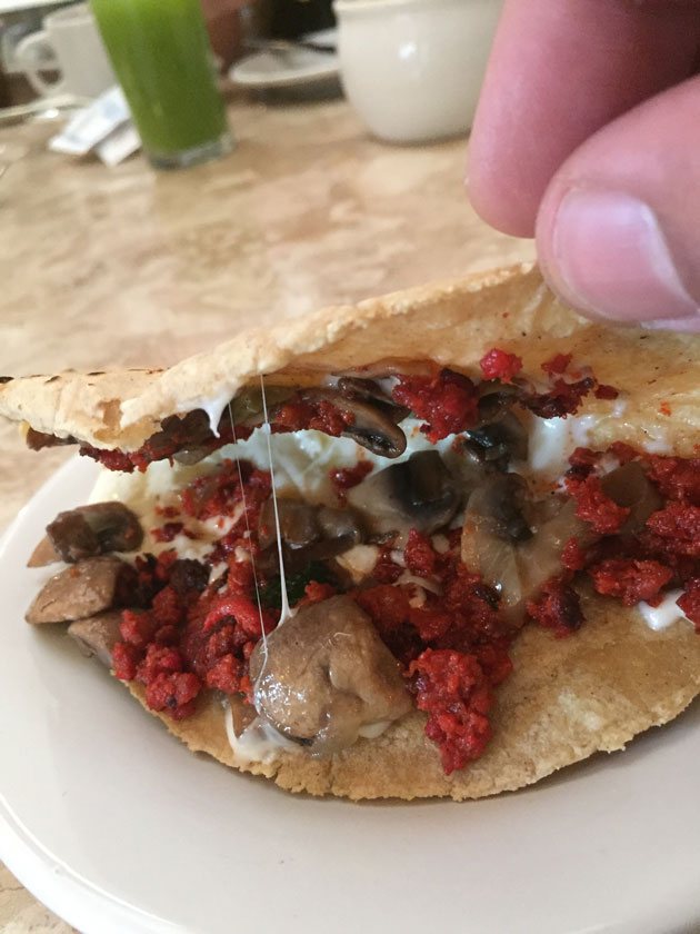 Comida mexicana: Quesadilla uma das melhores comidas mexicanas