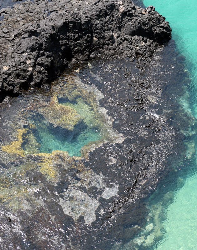 Coral em formato de coração na Baía dos Porcos