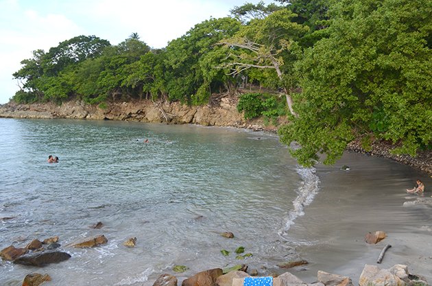 aribe colombiano em Providencia