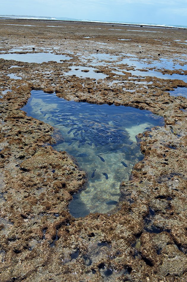Piscinas naturais no Brasil: Mapa do Brasil em formato de piscina natural em Porto de Galinhas