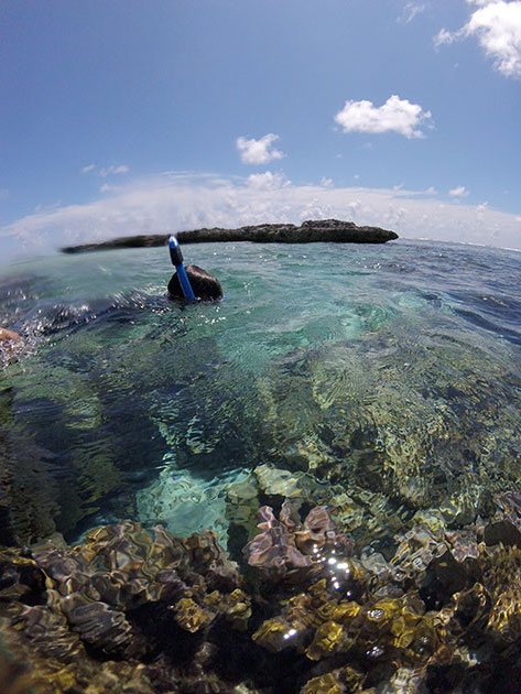 Mar cristalino e riqueza de vida nos corais de Maupiti
