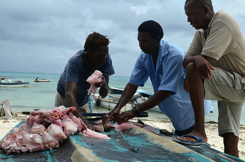 O que fazer em San Andrés