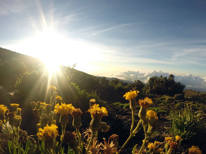 Nascer do sol no Monte Kilimanjaro