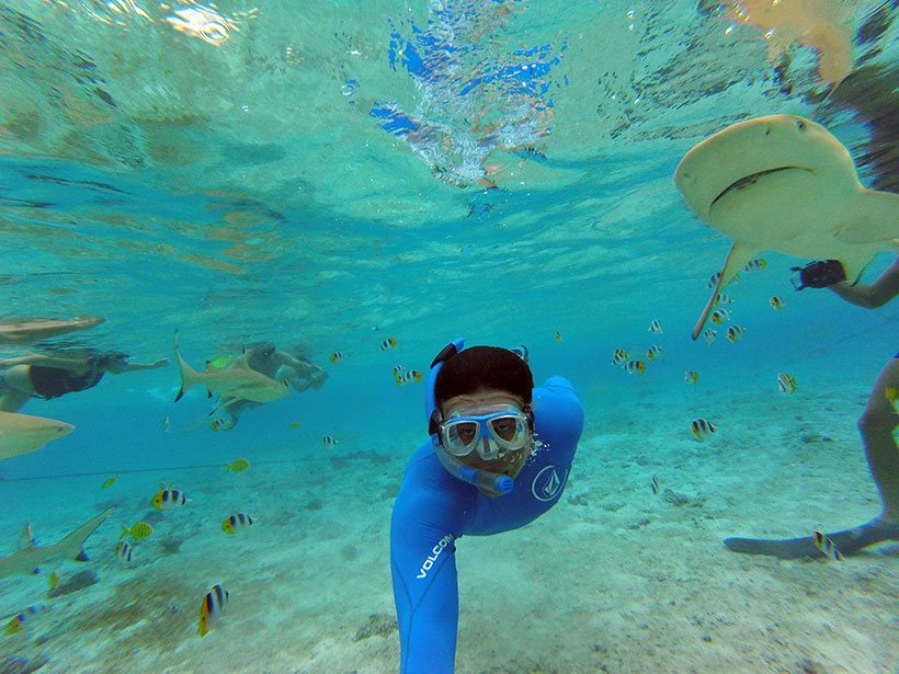 Snorkel com tubarões em Bora Bora