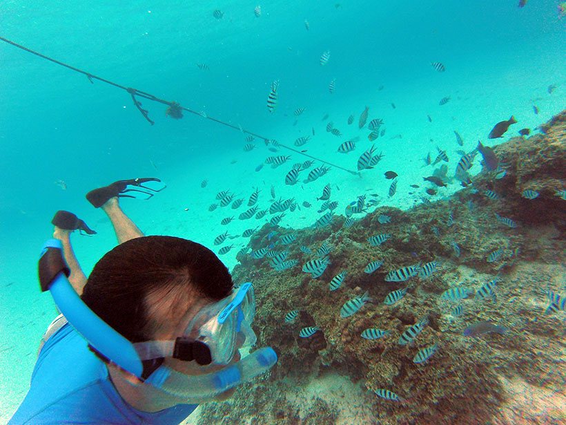 Mergulhando em meio aos corais de Bora Bora