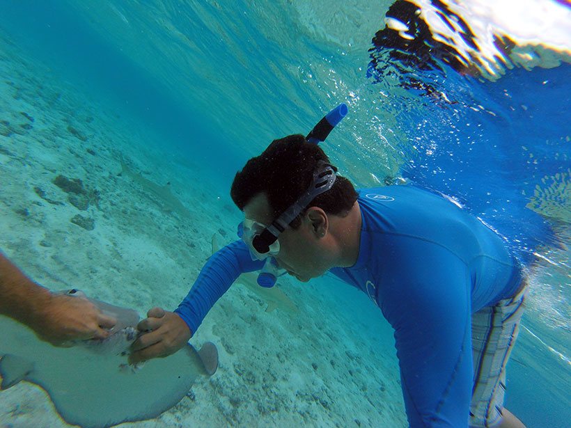 Alimentando arraias em Bora Bora