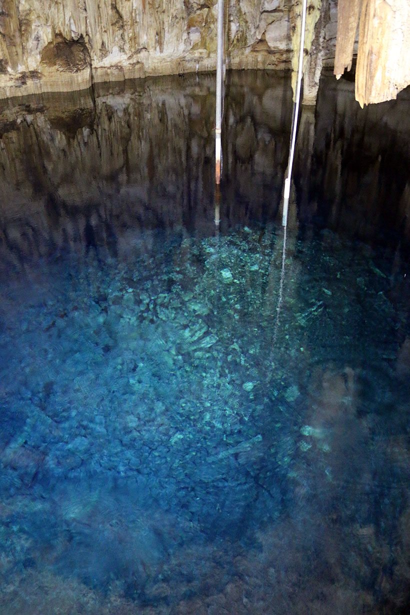 Quarto cenote do dia: Cenote Virgem