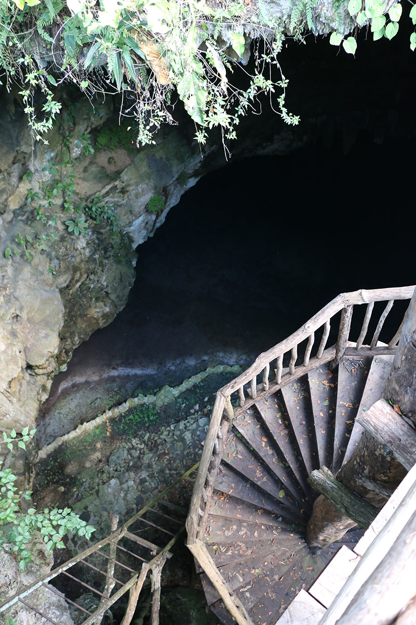 Escadarias para descer até as águas do cenote