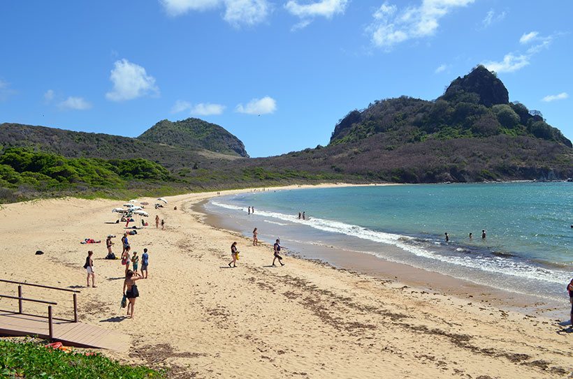 Lugar para mergulhar entre tartarugas, tubarões e arraias em Noronha