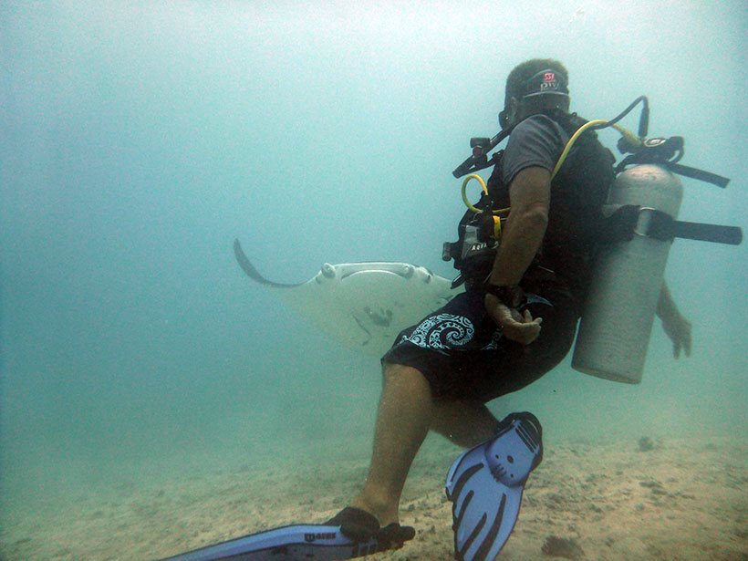 Encontro inesperado com a gigante dos mares