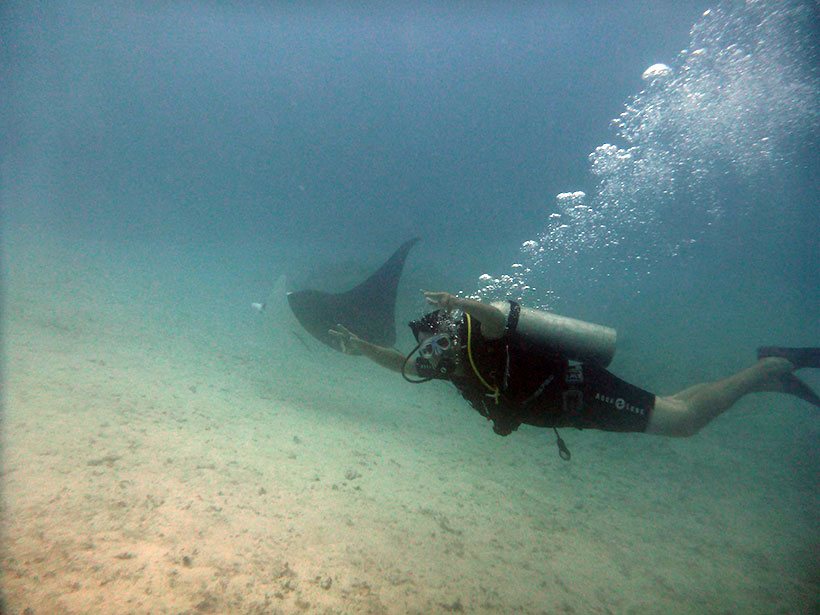 Encontro com raia manta em Bora Bora