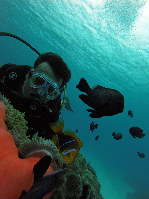 Belos corais, anêmonas e lindos peixes residentes