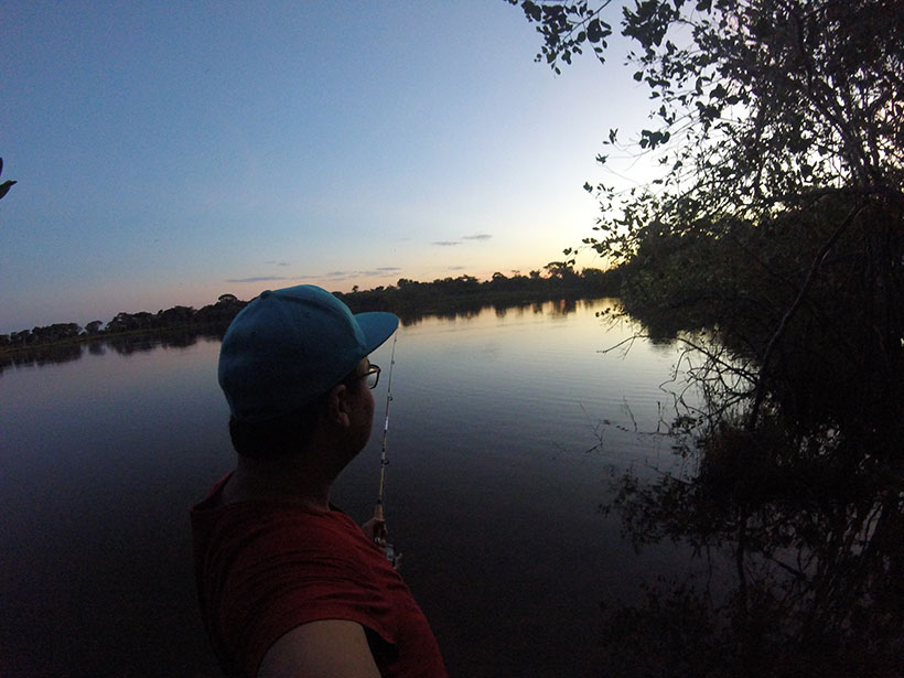 Atrações turísticas em Goiás: Vida selvagem abundante em um dos rios mais importantes do centro do Brasil