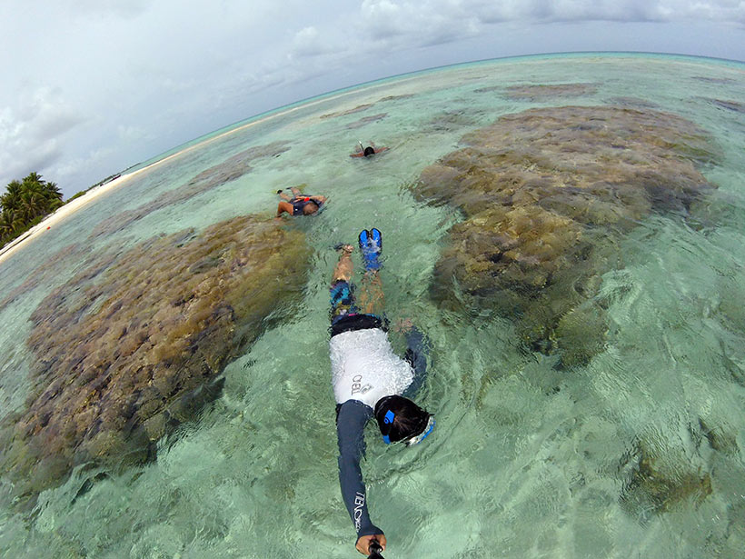 Snorkel nos arredores da Fafarua Island em Tikehau