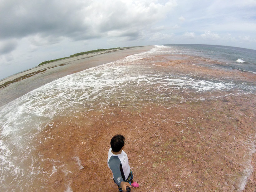 O recife de corais vermelho de Tikehau