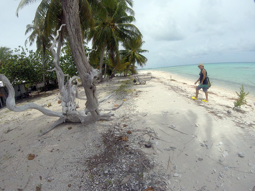 Tikehau na Polinésia Francesa - Saindo para coletar frutos do mar no recife de corais de Tikehau