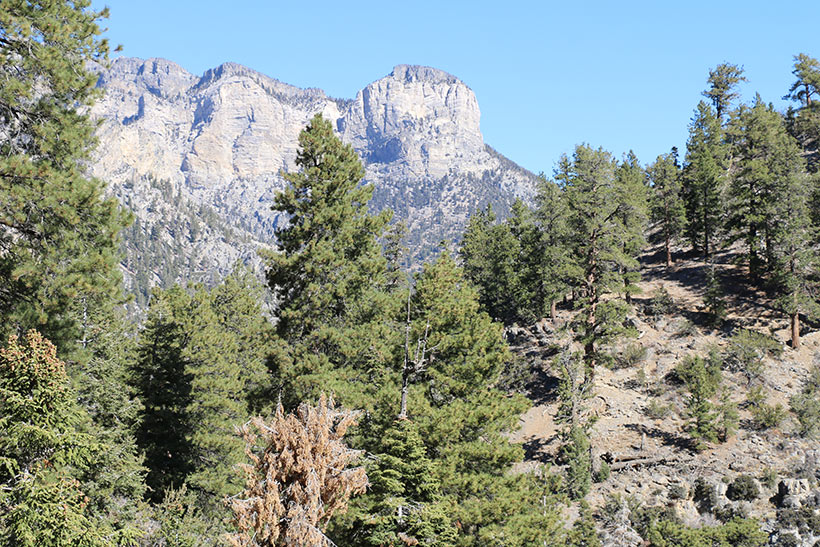 Cathedral Rock