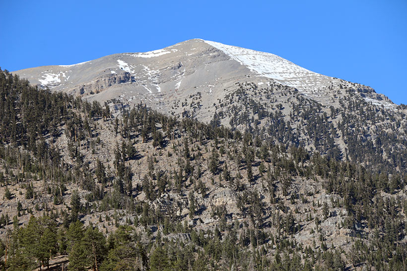 Vista do Mt. Charleston desde o topo da Cathedral Rock