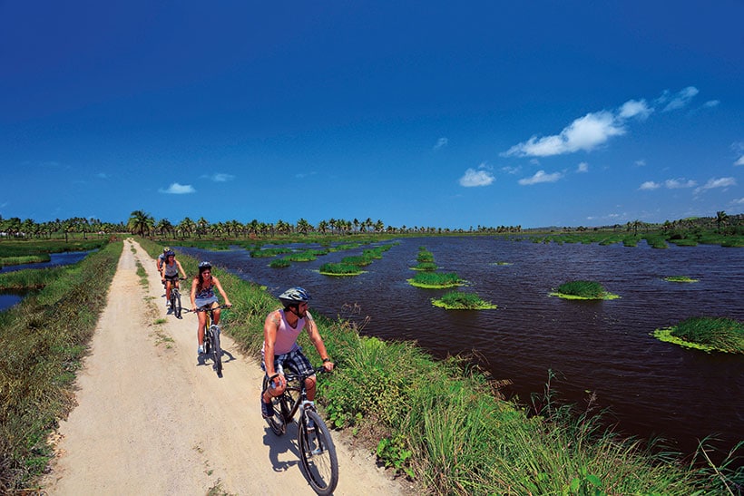 Passeios de bicicleta em Porto de Galinhas (Foto: Divulgação)