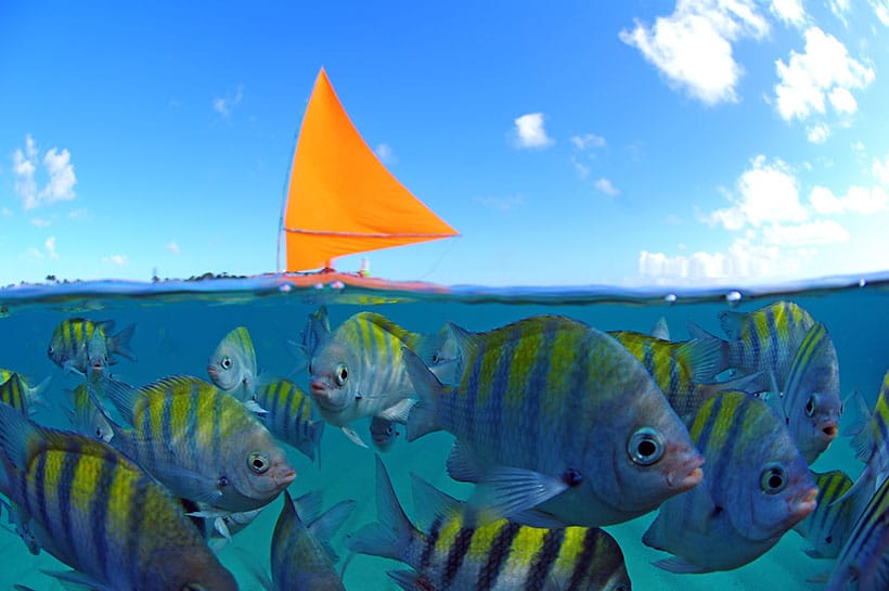 Mergulho com snorkel em um mar repleto de peixinhos coloridos