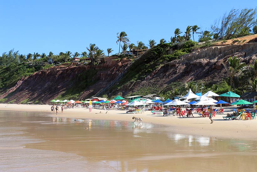 Muito guarda-sol e várias barracas de praia