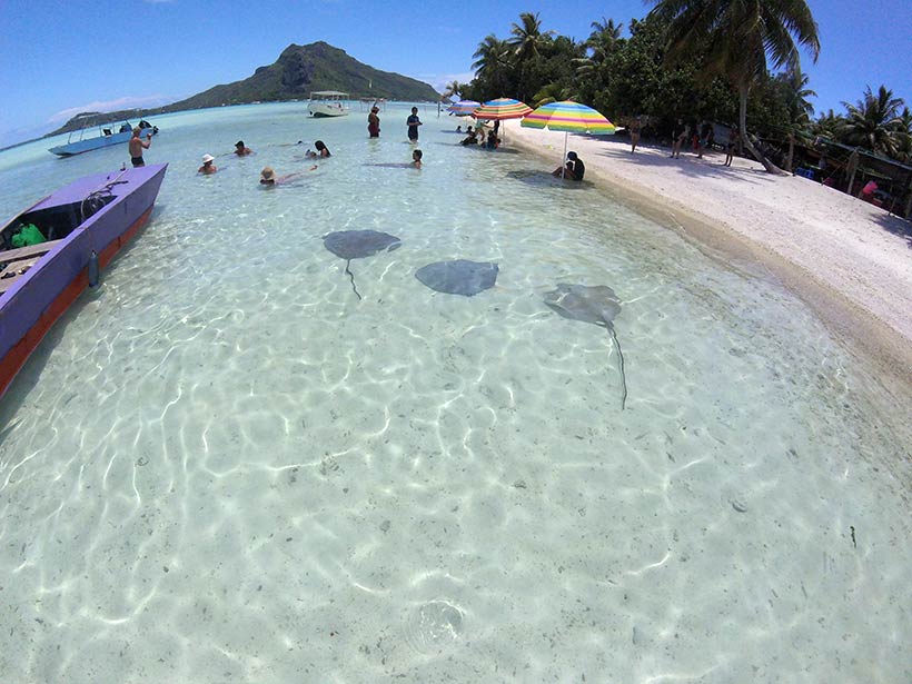 Praia na Polinésia Francesa