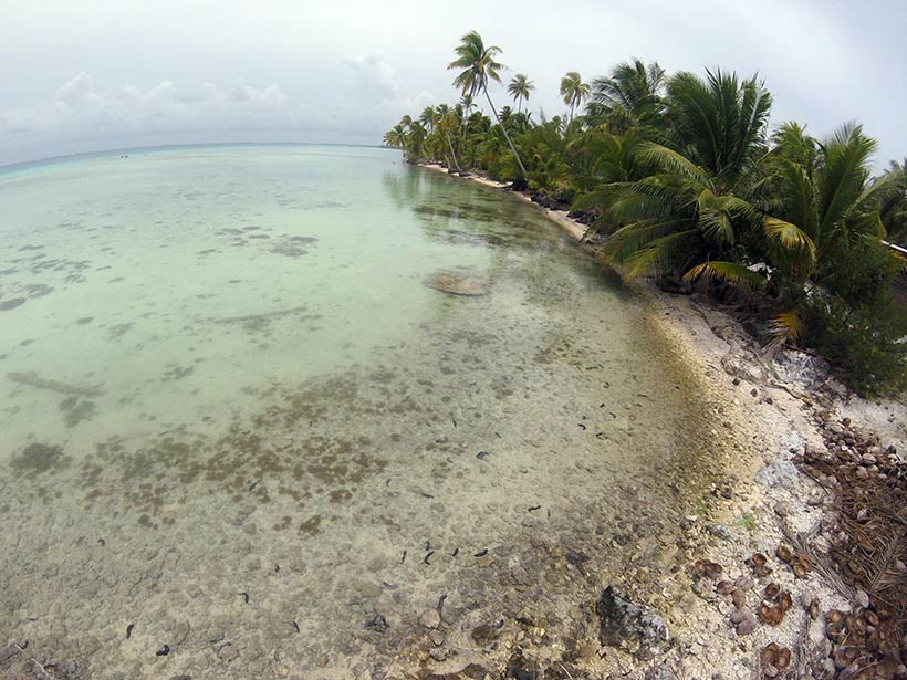 Uma poupança em milhas pode te levar a lugares paradisíacos