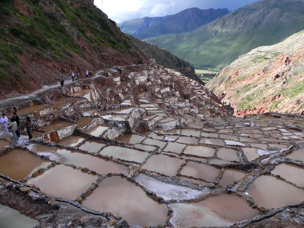 Salinas Marasal