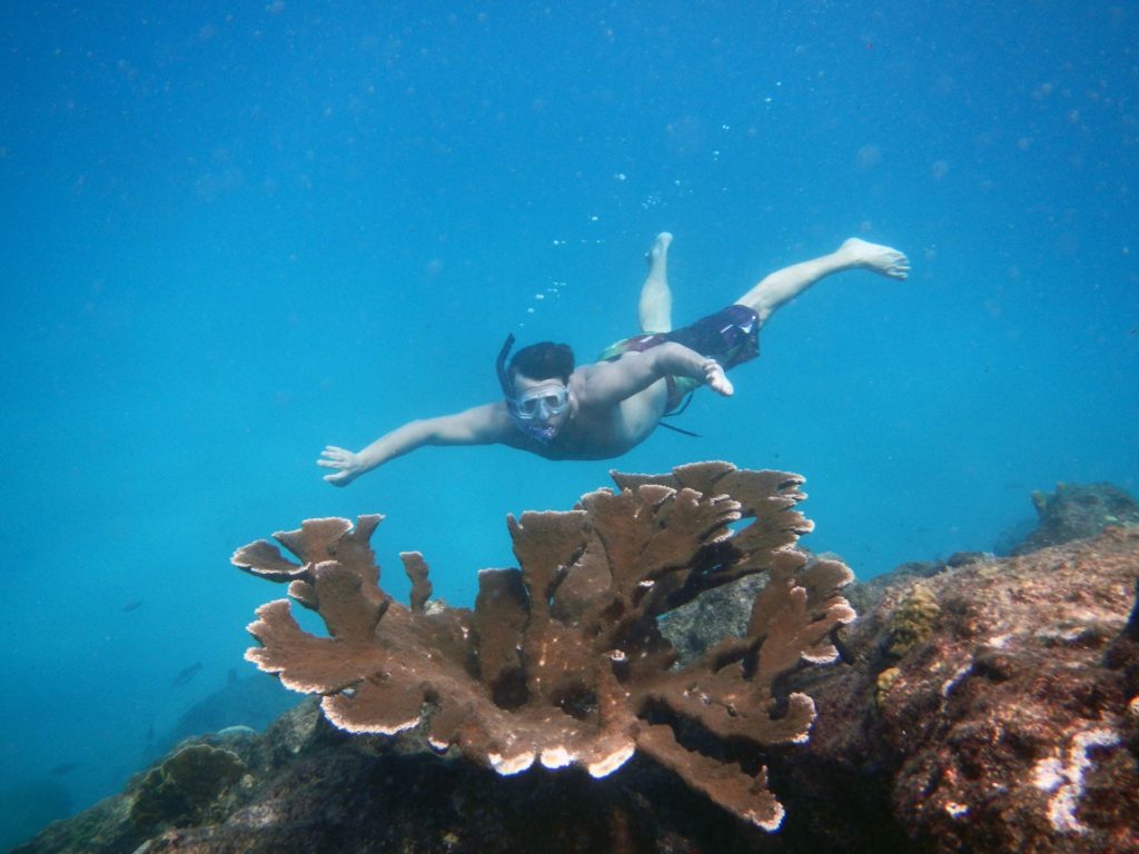 mergulho livre em Barbados