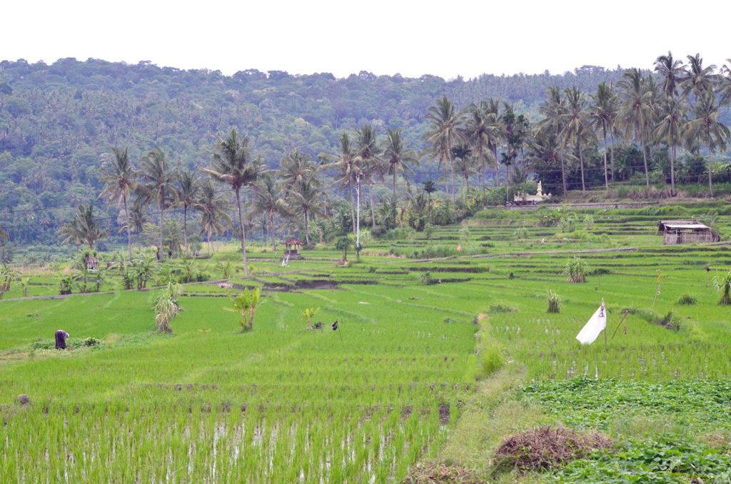 Roadtrip em Bali