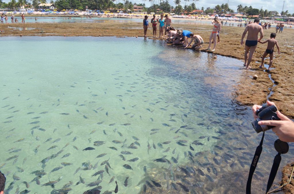 Porto de Galinhas