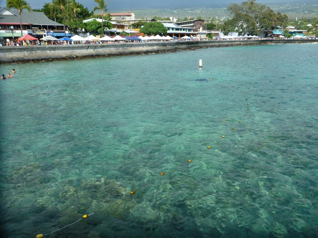 Snorkel em Kona