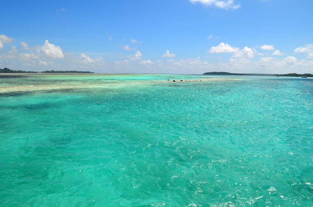 Passeio de Barco no Palau