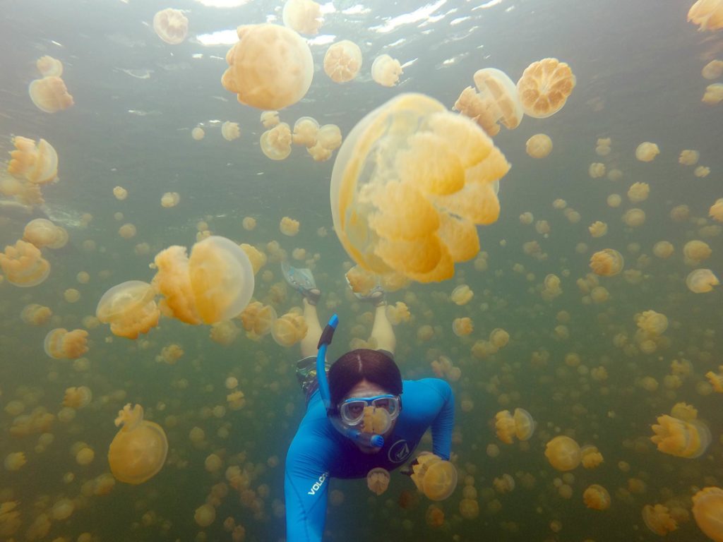 Jellyfish Lake